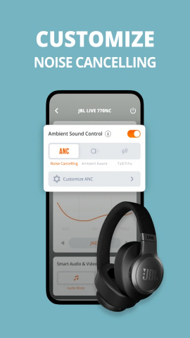 JBL Headphones