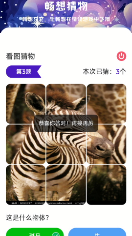 畅想充充