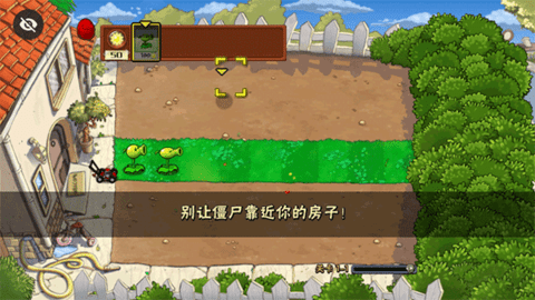 PVZ指导版