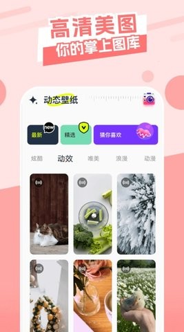 主题库精灵app手机版