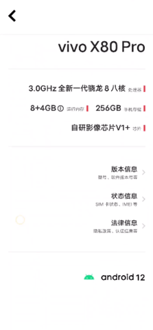 控制台vivo