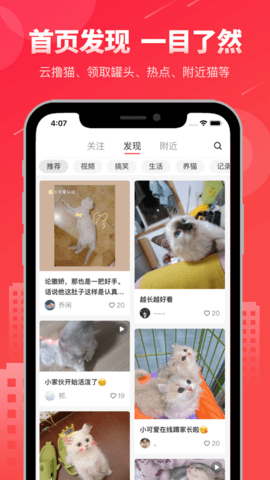 宠友社区手机版