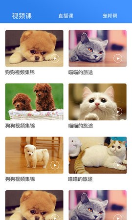 宠帮邦官方版