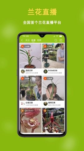 兰花交易网app官方版