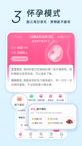美柚手机版