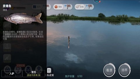 钓鱼模拟