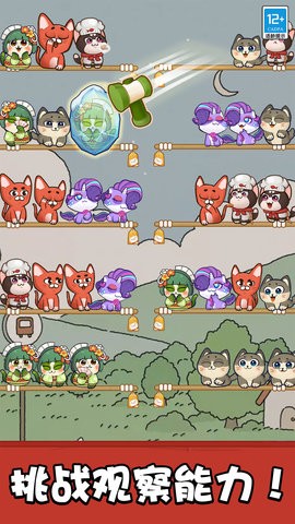 萌猫消消乐