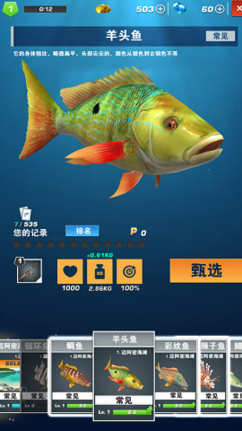 3D真实钓鱼