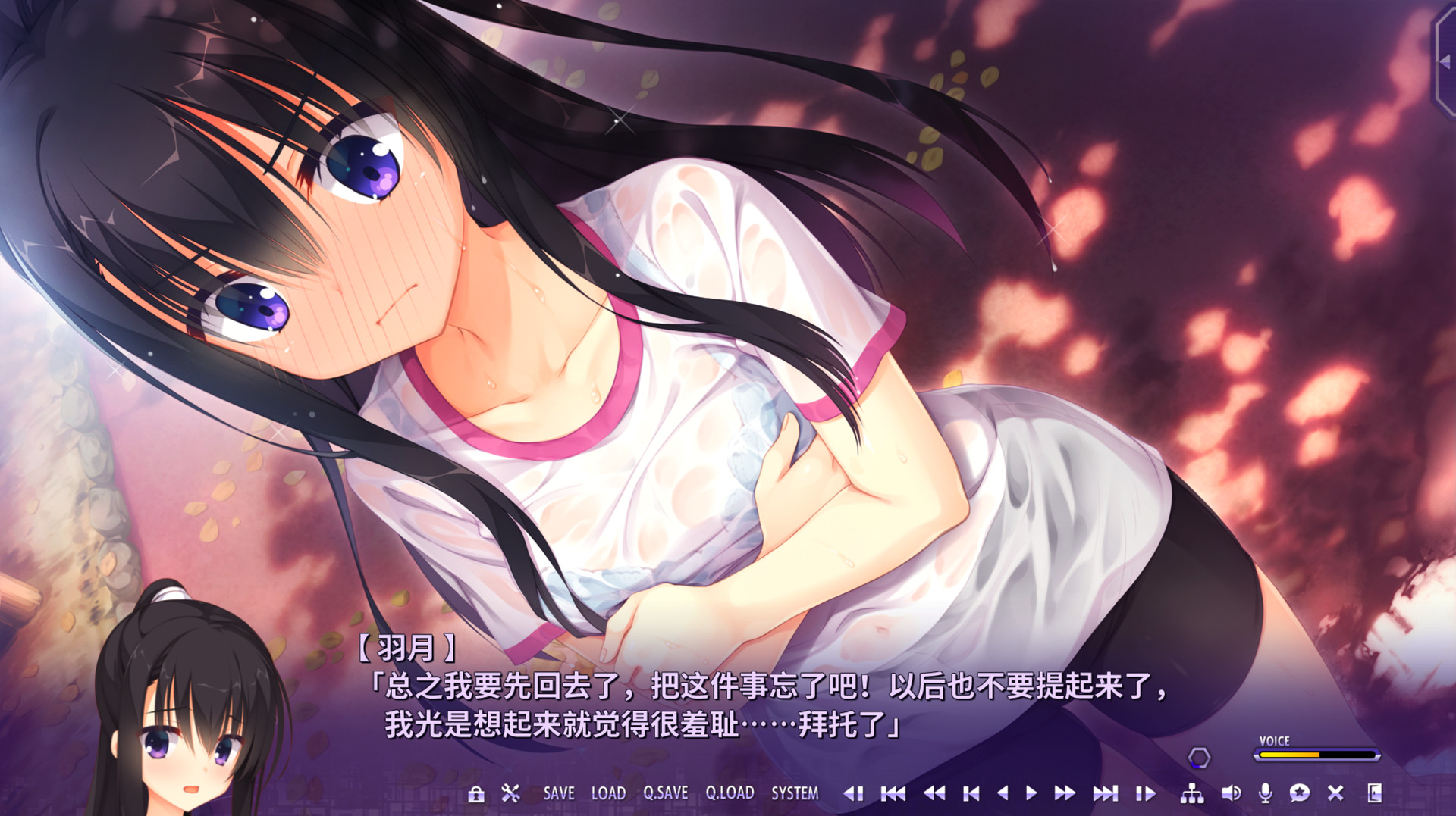 RiddleJoker冷狐版