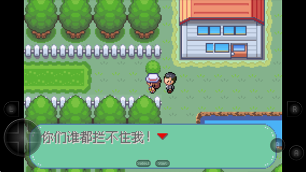口袋妖怪彼岸花绽放之夜手机版