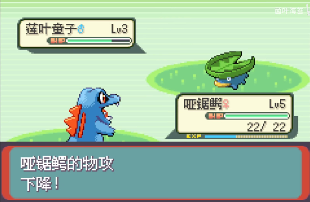 随机宝可梦融合版