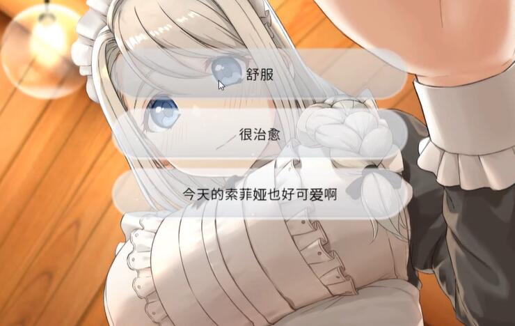 我与索菲亚的秘密完整版