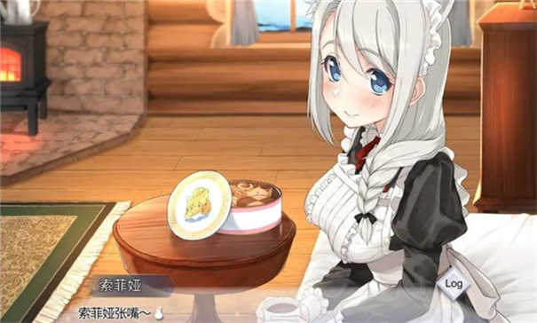 我与索菲亚的秘密完整版