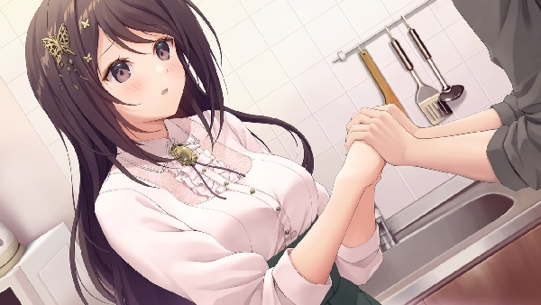角色扮演之恋极乐公主手游