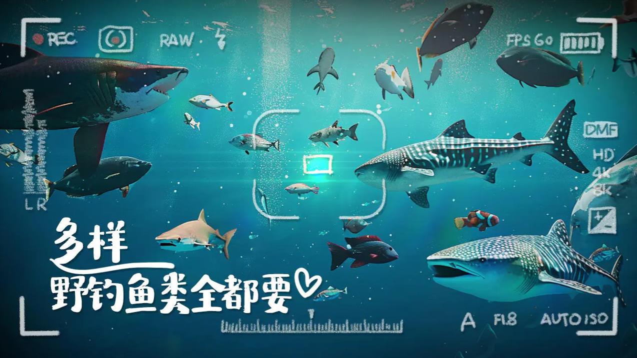 垂钓大师免费版