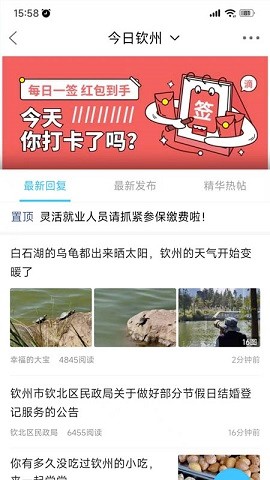 白话猫