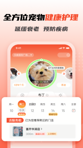 宠物家