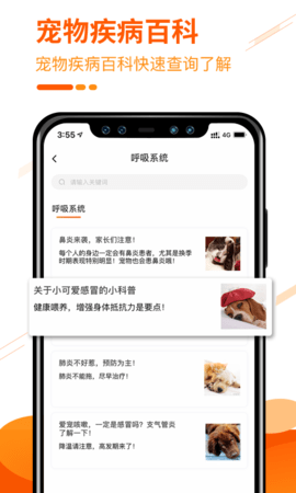 人人宠