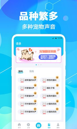 猫语翻译pet