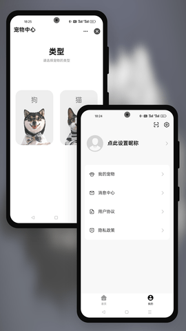 派兮宠物