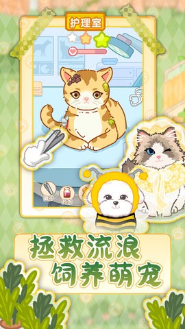 猫猫狗狗一起玩