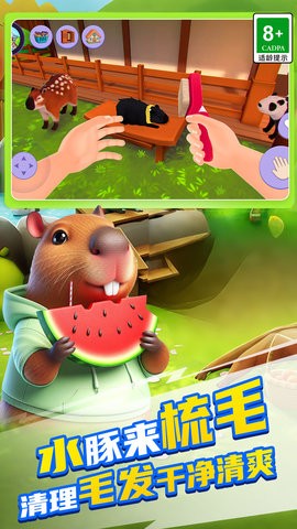 卡皮巴拉乐园