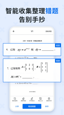  蜜蜂试卷