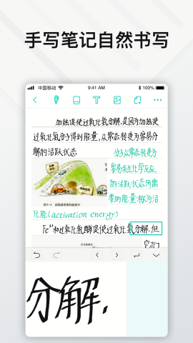 Elfinbook易分