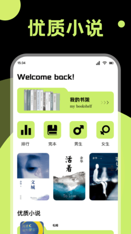 锤子小说