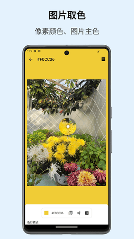 实时识色器app
