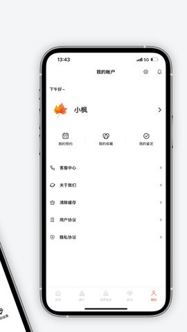 炳炳其章