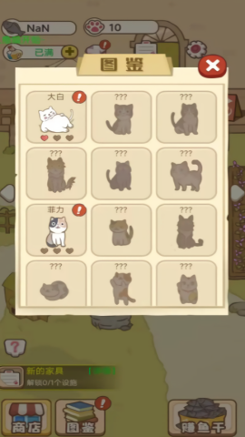 小猫铲屎官