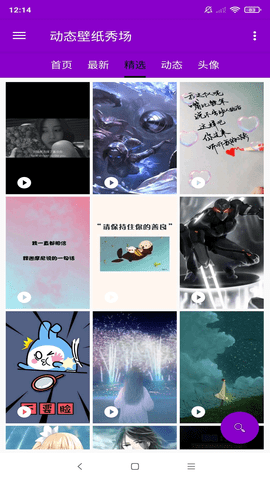 壁纸图片大师