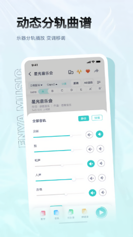 恩雅音乐