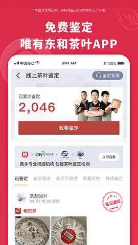 东和茶叶