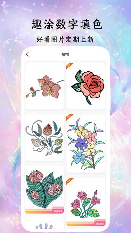 趣涂数字填色解压绘本