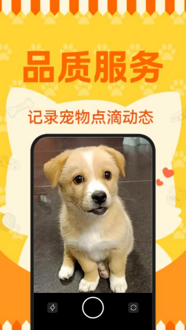 宠物寄养托管助手