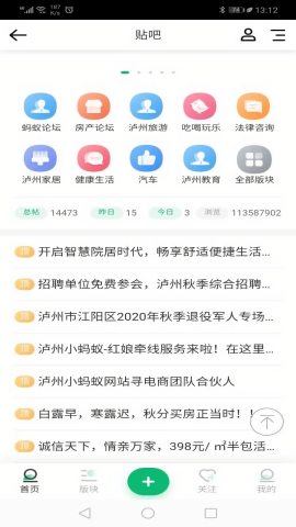 泸州小蚂蚁