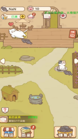 小猫铲屎官