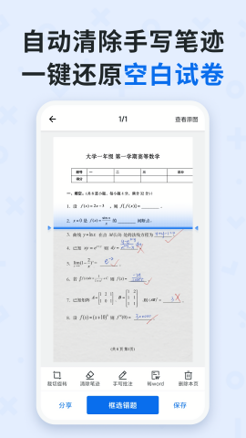  蜜蜂试卷
