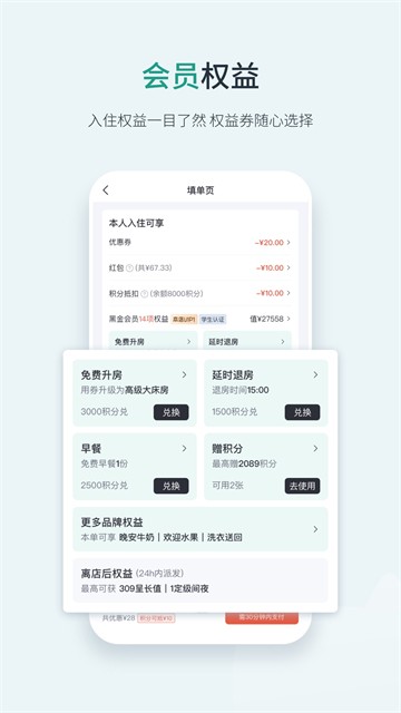 东呈青猫会