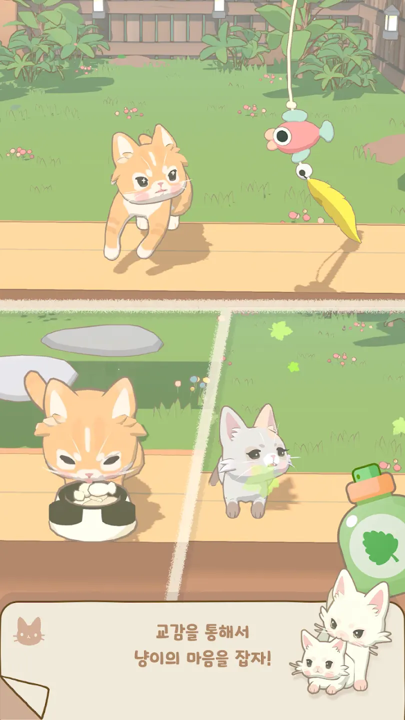 窗外的猫官方版