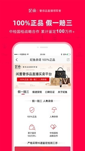 妃鱼