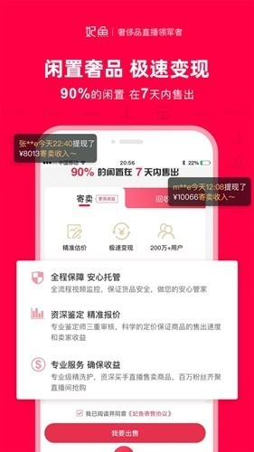 妃鱼