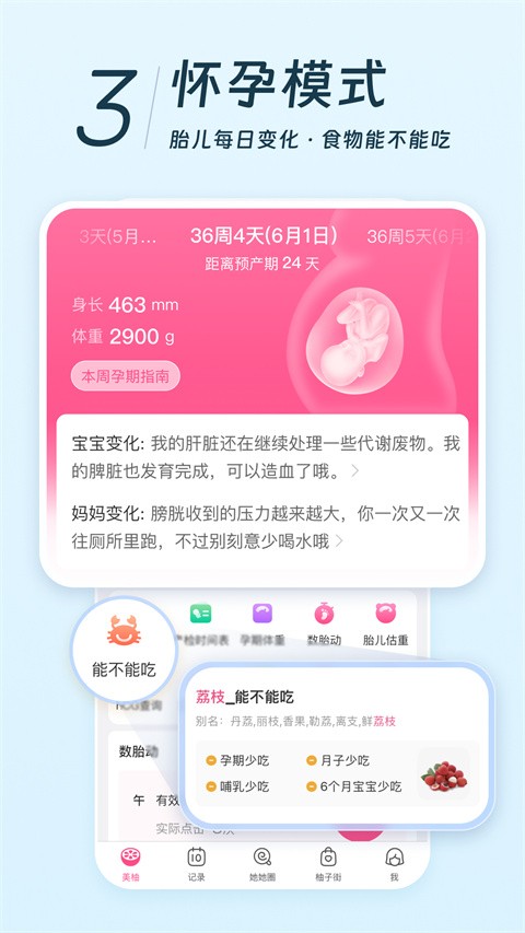 美柚手机版