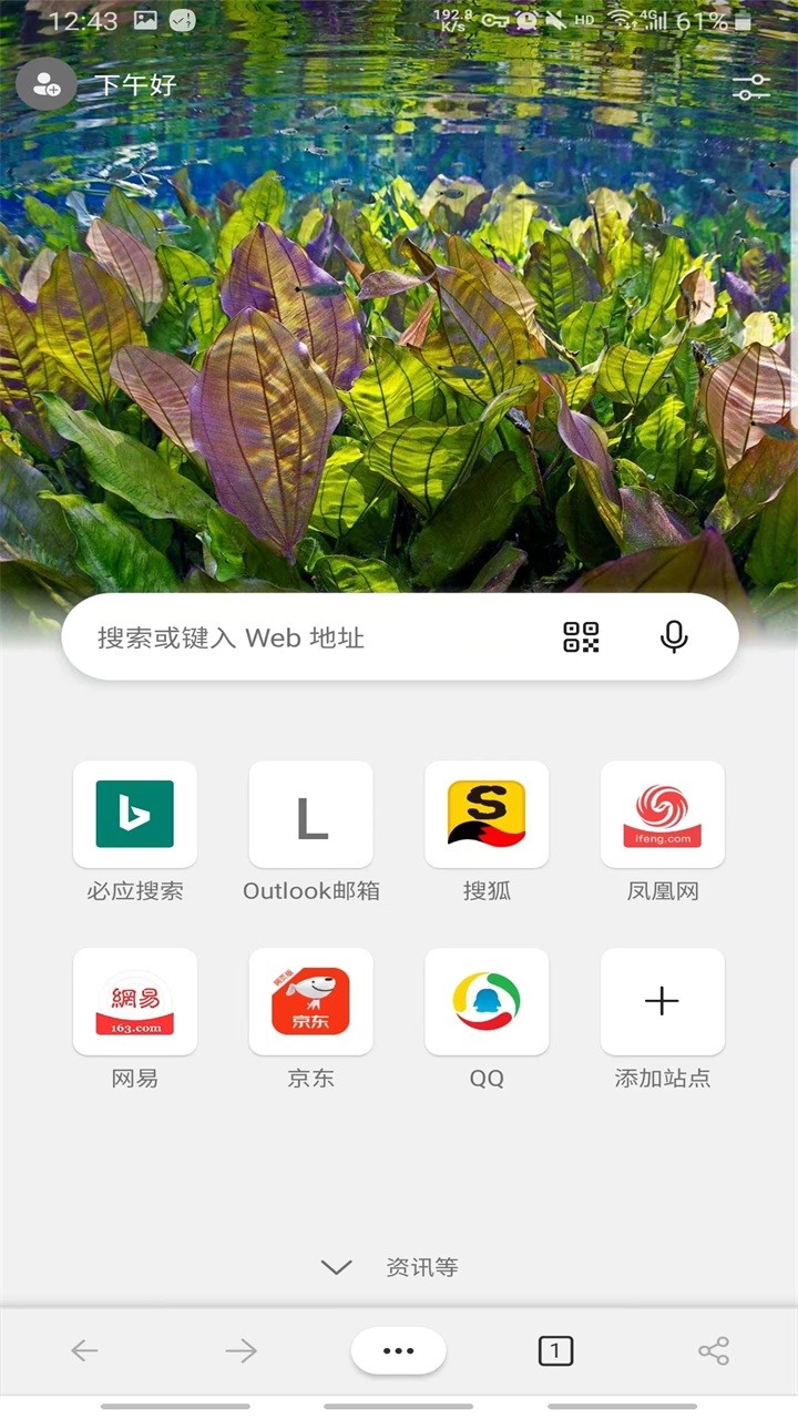 edge浏览器beta版