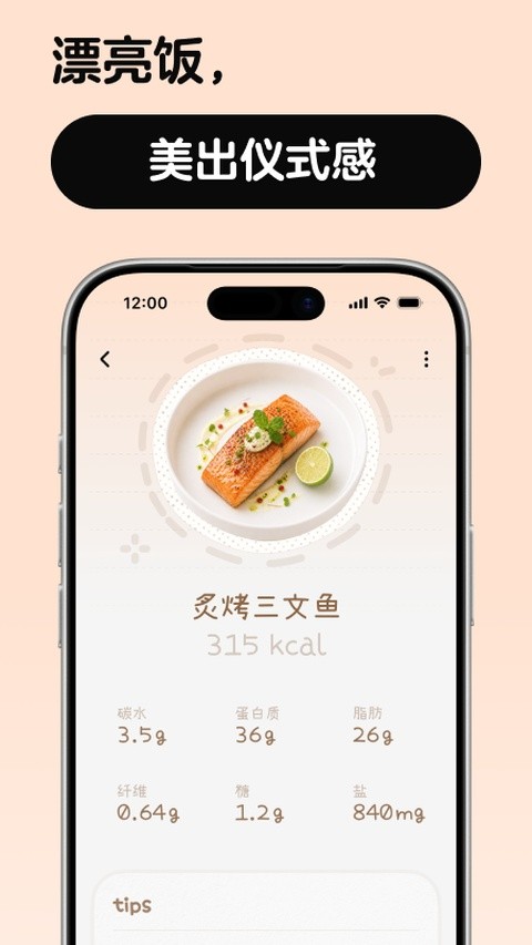 nosh饮食热量记录