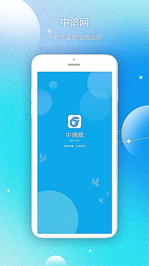 中鸽网
