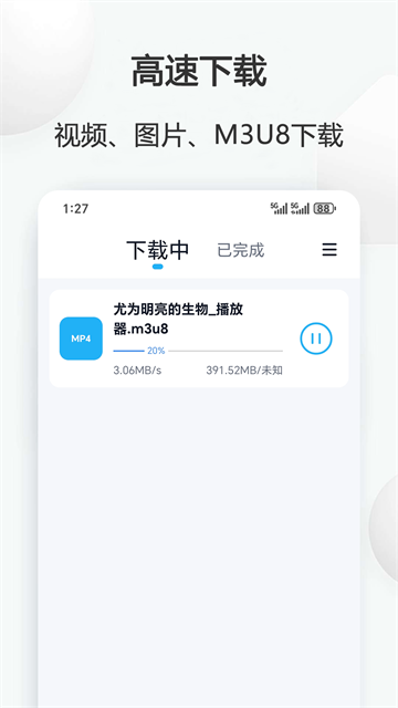 视频下载鸟