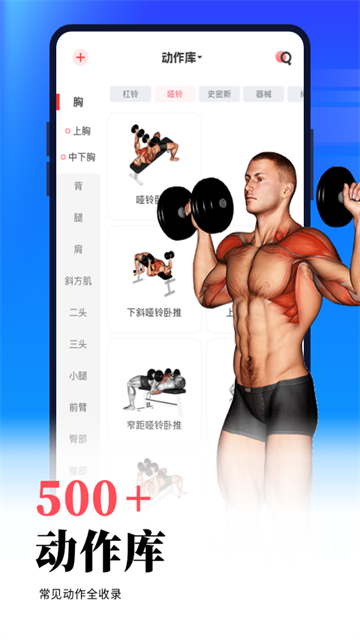 gofit开练